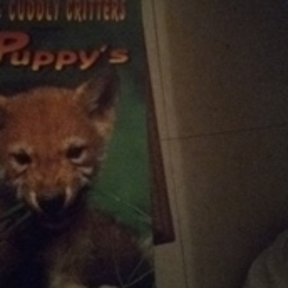 VHS Tapes - Picture 7 of 8